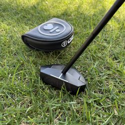 LAB  OZ1.  Putter