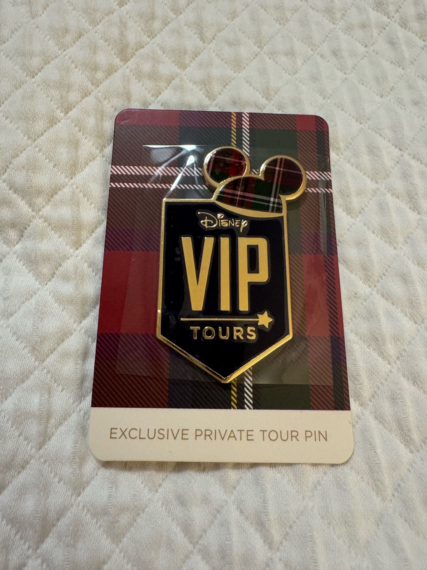Disney VIP Tours Pin