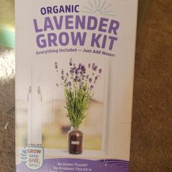 Back To The Roots Lavender Kit