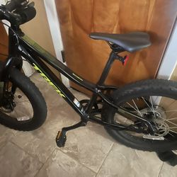 Kids Trek bike 20”