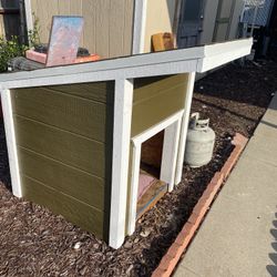 Dog House Large