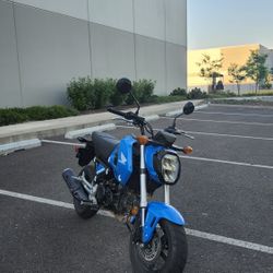 Honda Grom 