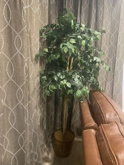 Artificial Plant