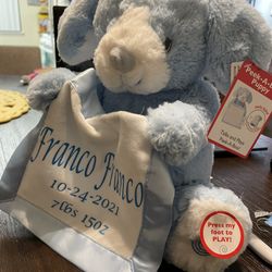 Customized Teddy  Bear