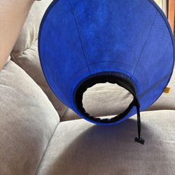Elizabethan Dog Cone - Post-op