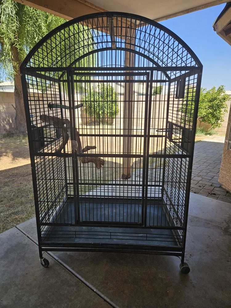 Huge Bird Cage