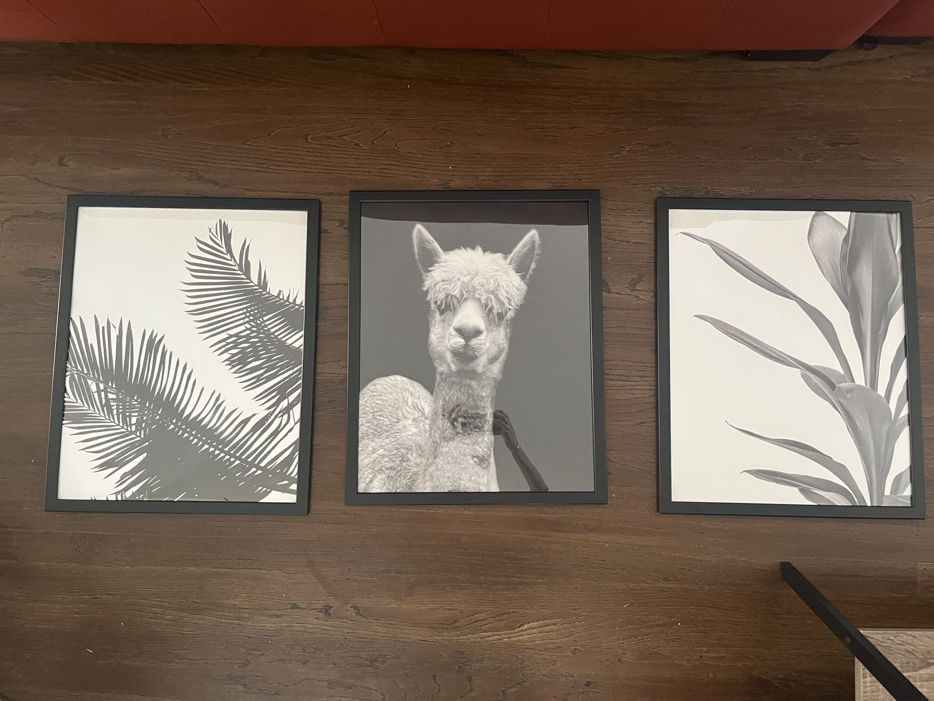 Frames