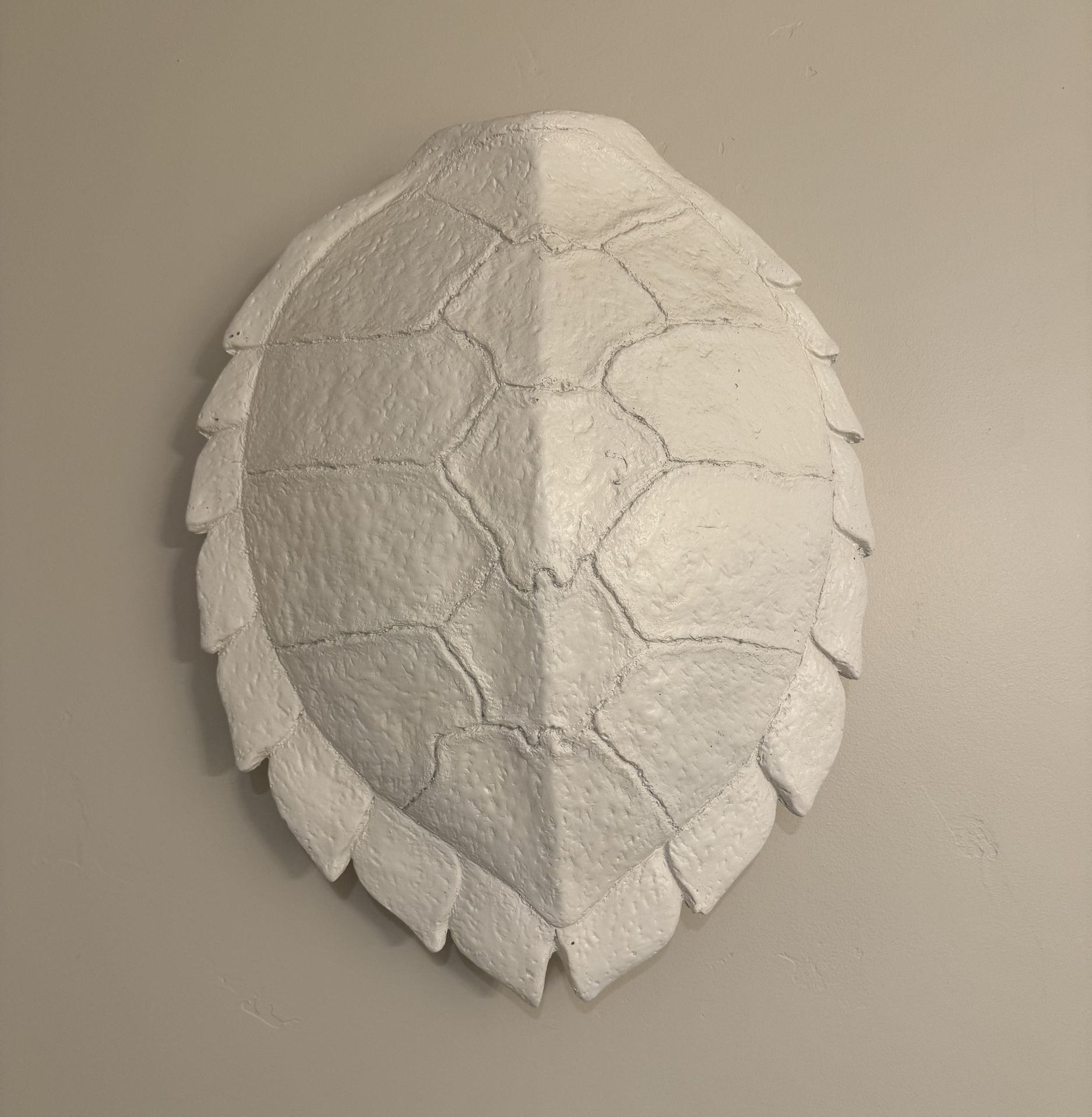 Unique Ceramic Turtle Shell Wall Decor