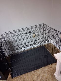 Dog Cage