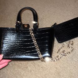 Zara handbag (comes with a mini purse) 