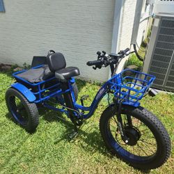 Electric Trike