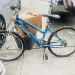 Girls bike 24