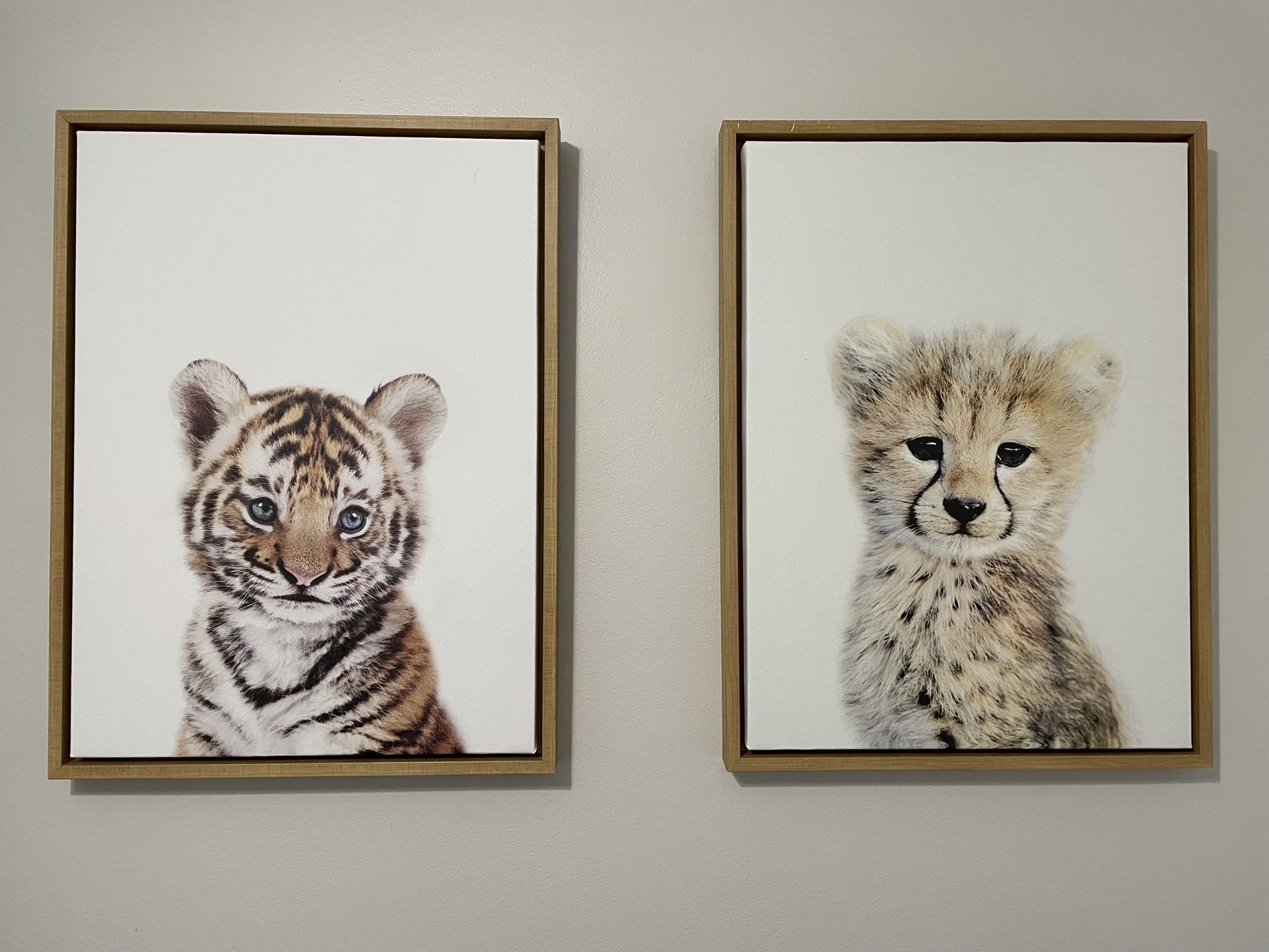 Baby Nursery Animal Safari Canvas Prints