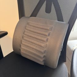 Sealy Memory Foam Pillow
