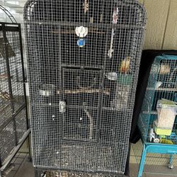 Bird Cage 