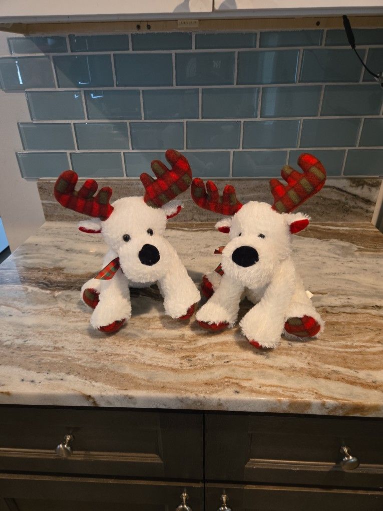 RainDog Plushy