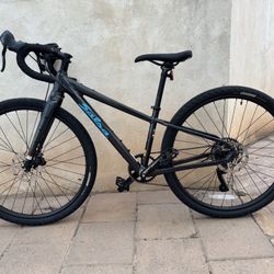 Salsa Journeyer Claris 650b