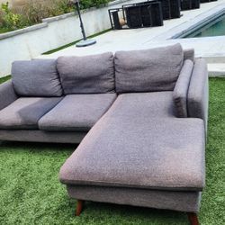 Couch With Chase For Sale