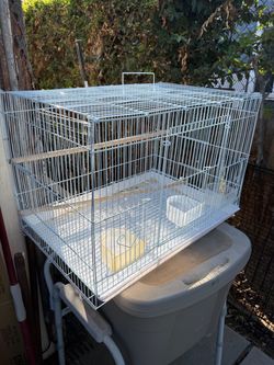 white wire flight/breeder-style bird cage