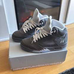 Jordan 5 Wolf Grey