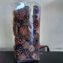 Pinecones