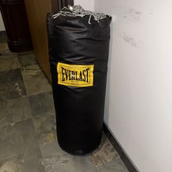 Everlast Heavy Bag + Stand Combo