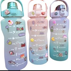 Water bottle 