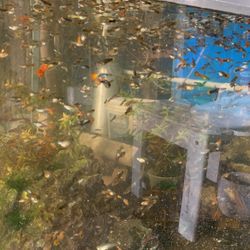 Fish Tank Aquarium Decorations Etc…..