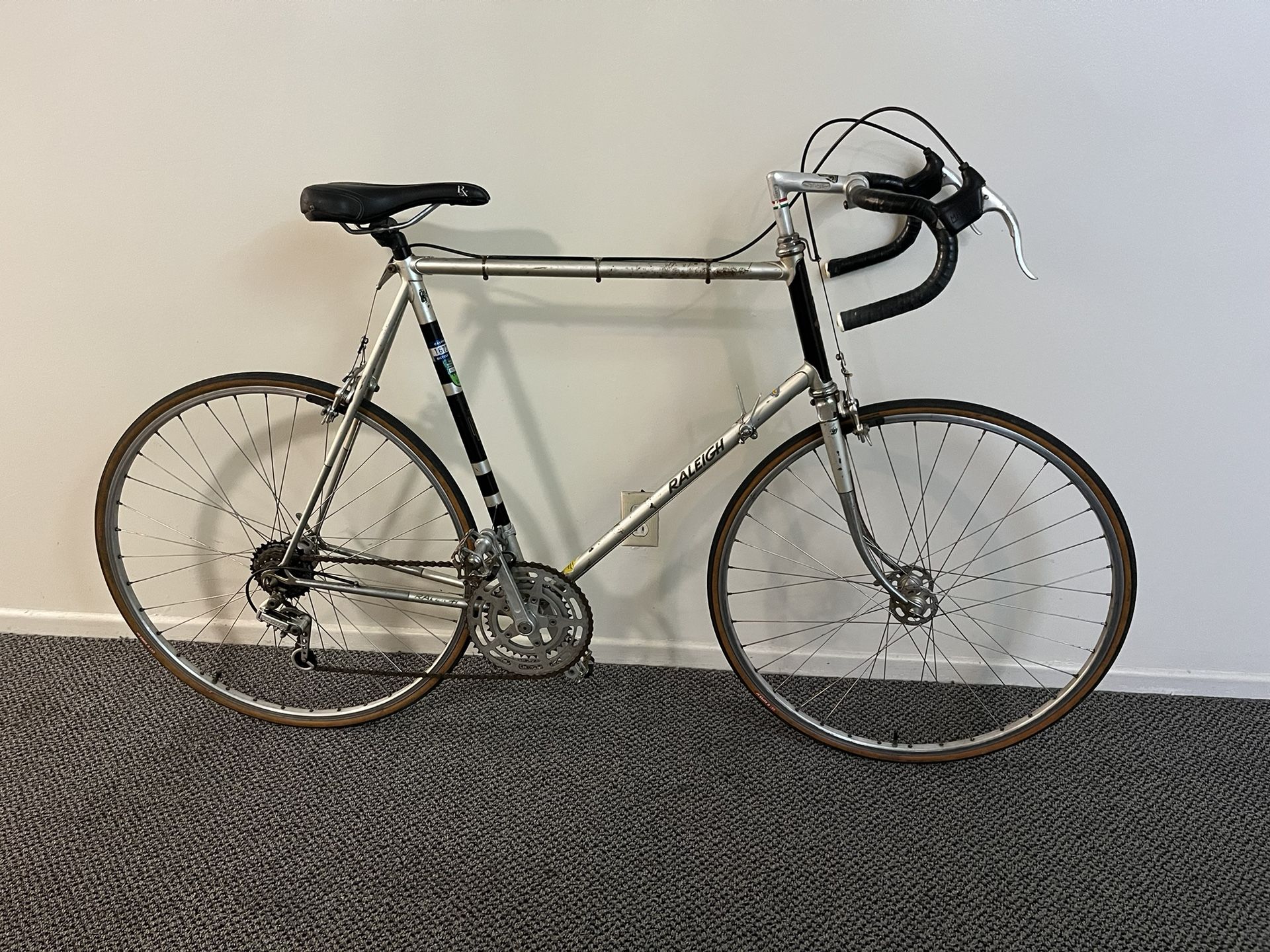 1974 Raleigh Professional