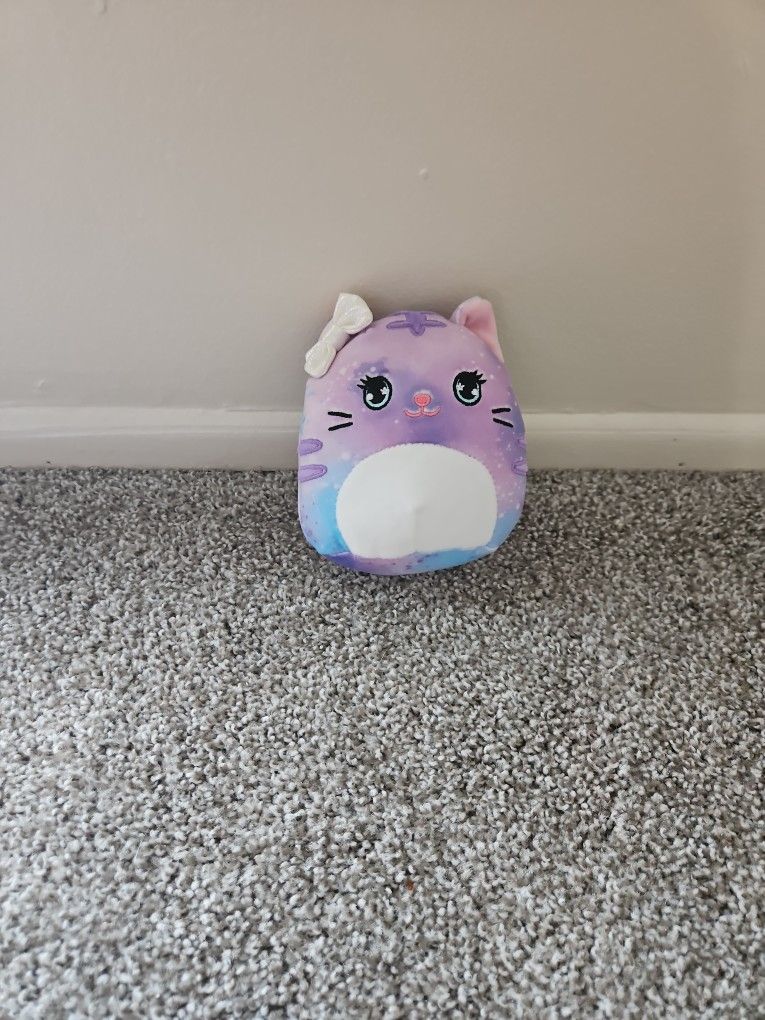 X Small Squishmallow Kitty