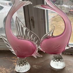 Glass Fish 