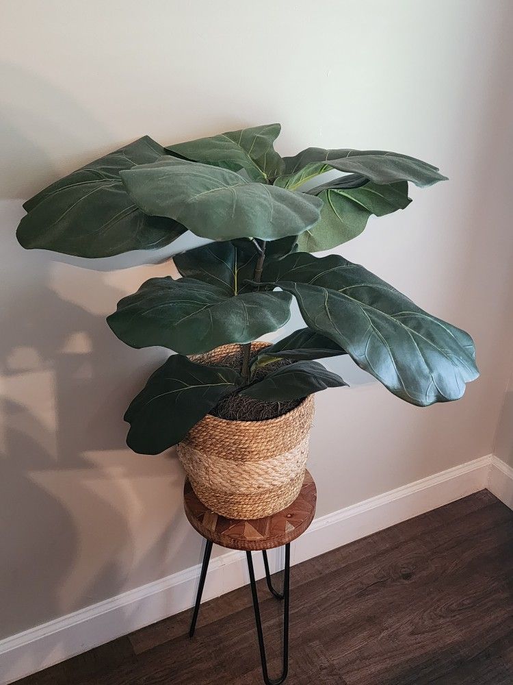 Artificial Large Fig Plant