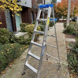 Werner Ladder 6’