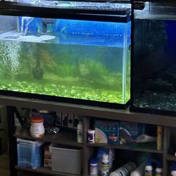 2 Large Fish Tank