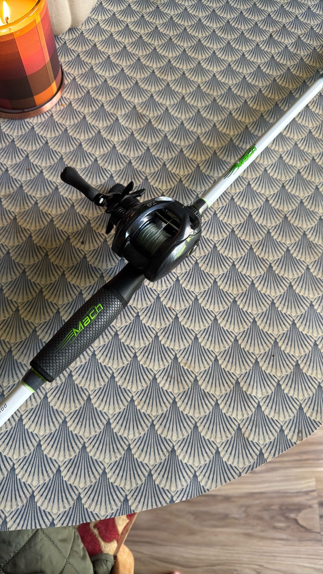 Daiwa Tatula CT and Lew’s Mach 1 Swim bait Rod