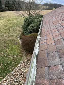 Gutter Cleaning