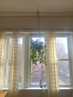 Velvet Curtains & Macrame Curtains