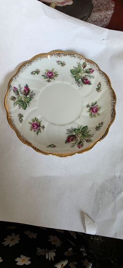 Vintage Fred roberts Co. Moss rose pattern teacup saucer 5.5 inches  excellent condition