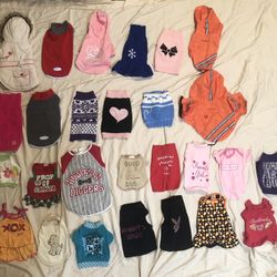 Teacup Dog Sweaters/ Raincoats/ Shirts  (x-small/ Small) 