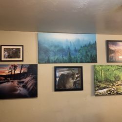 $10 each. Large assortment of artwork pictures in good condition. 