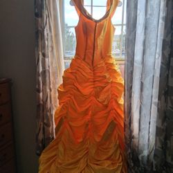 Disney princess dress