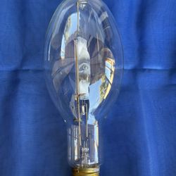 Huge Light Bulb