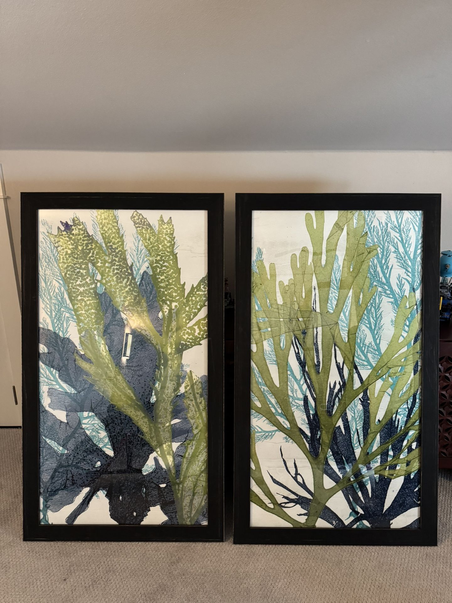 Coral Art Prints