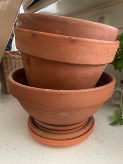 4 terracotta pots with saucers plants outside inside bedroom nursery