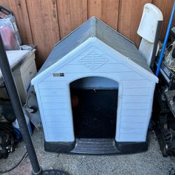 Dog House