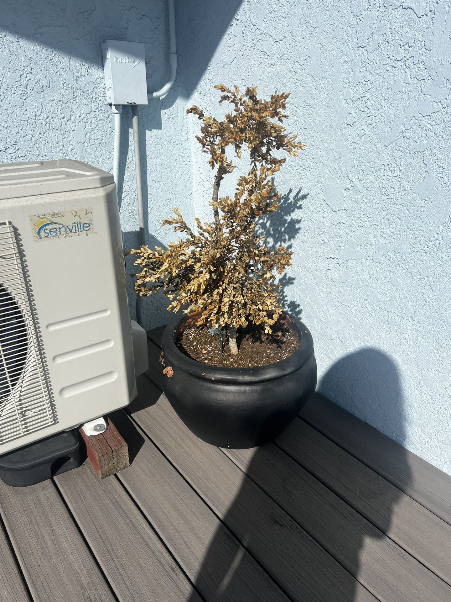 Large Flower Pot Planter 