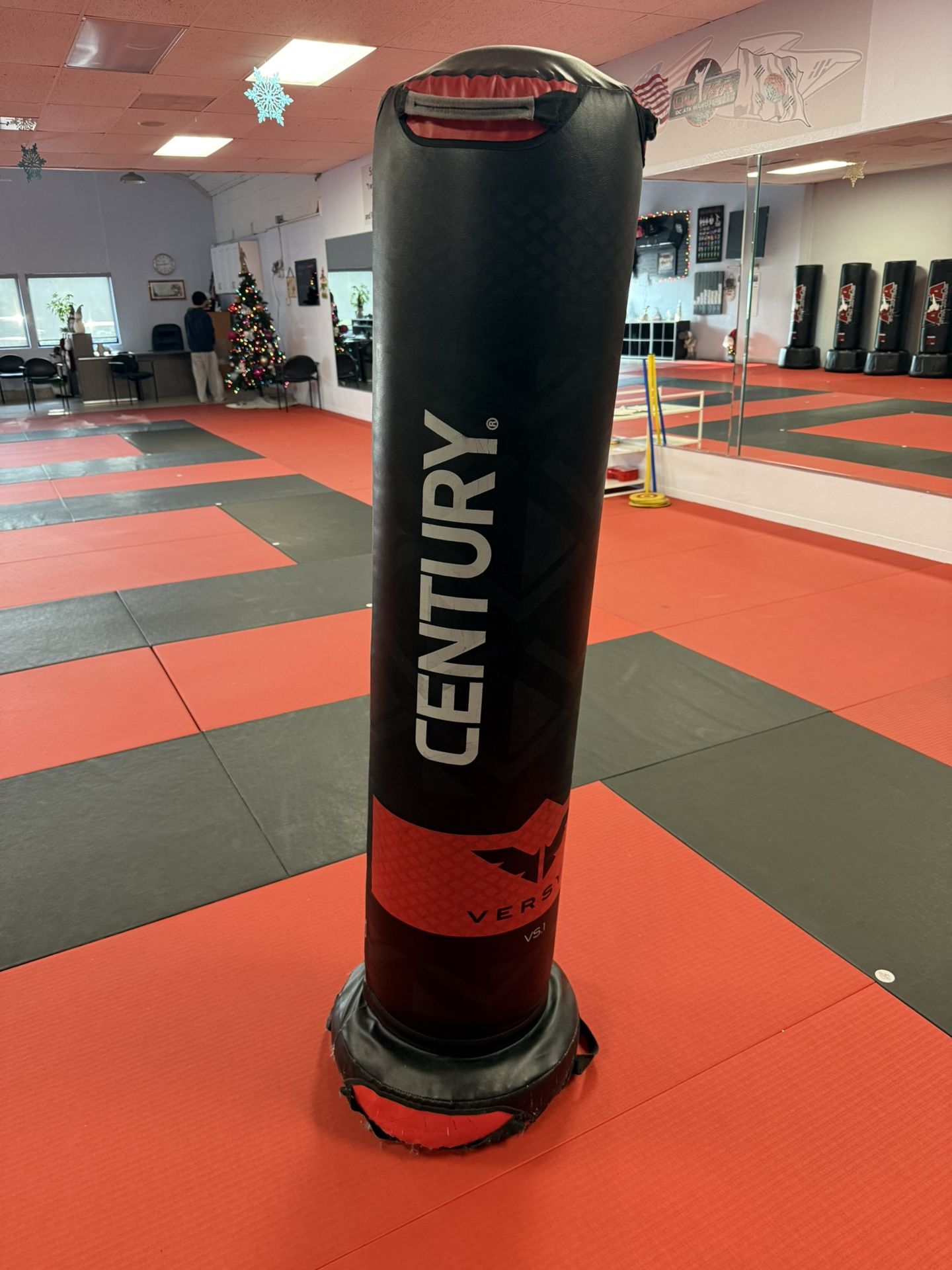 Century Kicking  Bag