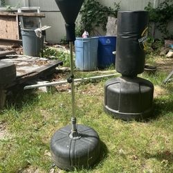 Speed Bag And Punching Bag