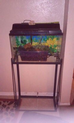 8 gallon fish tank
