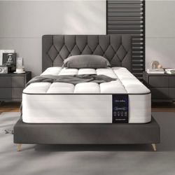8 Inch Hybrid Twin Mattress. Memory Foam & Individually Wrapped Springs, Medium Firm Pressure Relief, Mattress in a Box